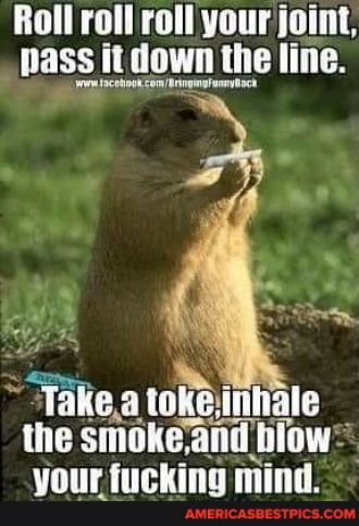 Roll roll roll your joint pass it down the line v facohoot com BringmafumBac TaIe a lhilllllall the smole and lllW AMERICASBESTPICSCOM