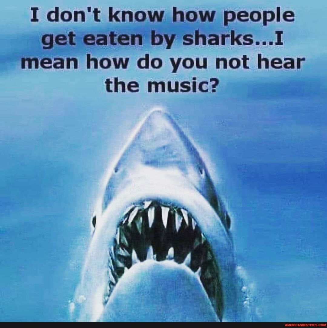 I dont know how people get eaten by sharksI mean how do you not hear the music