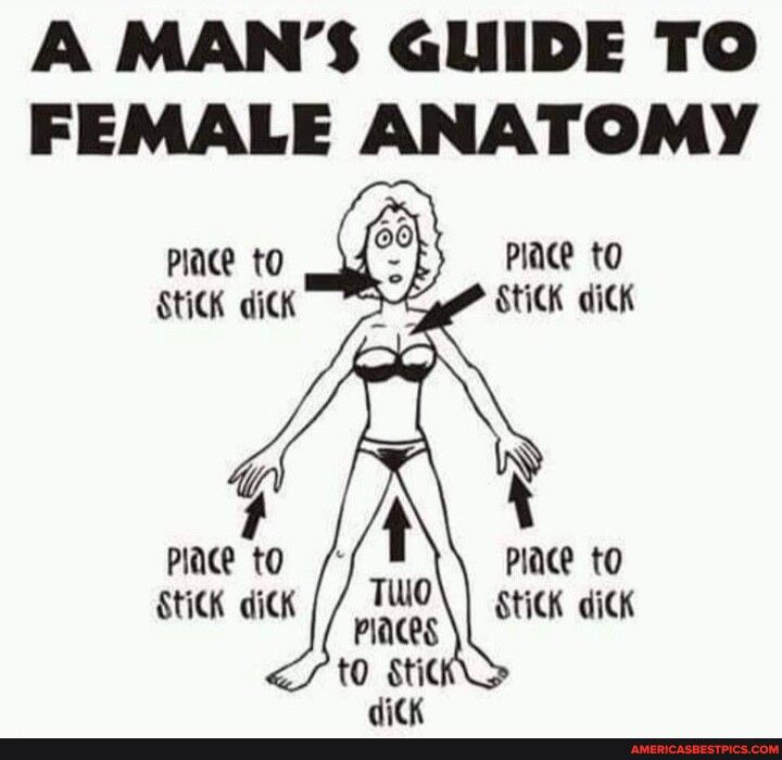 A MANS GUIDE TO FEMALE ANATOMY Piace to SHCK dick