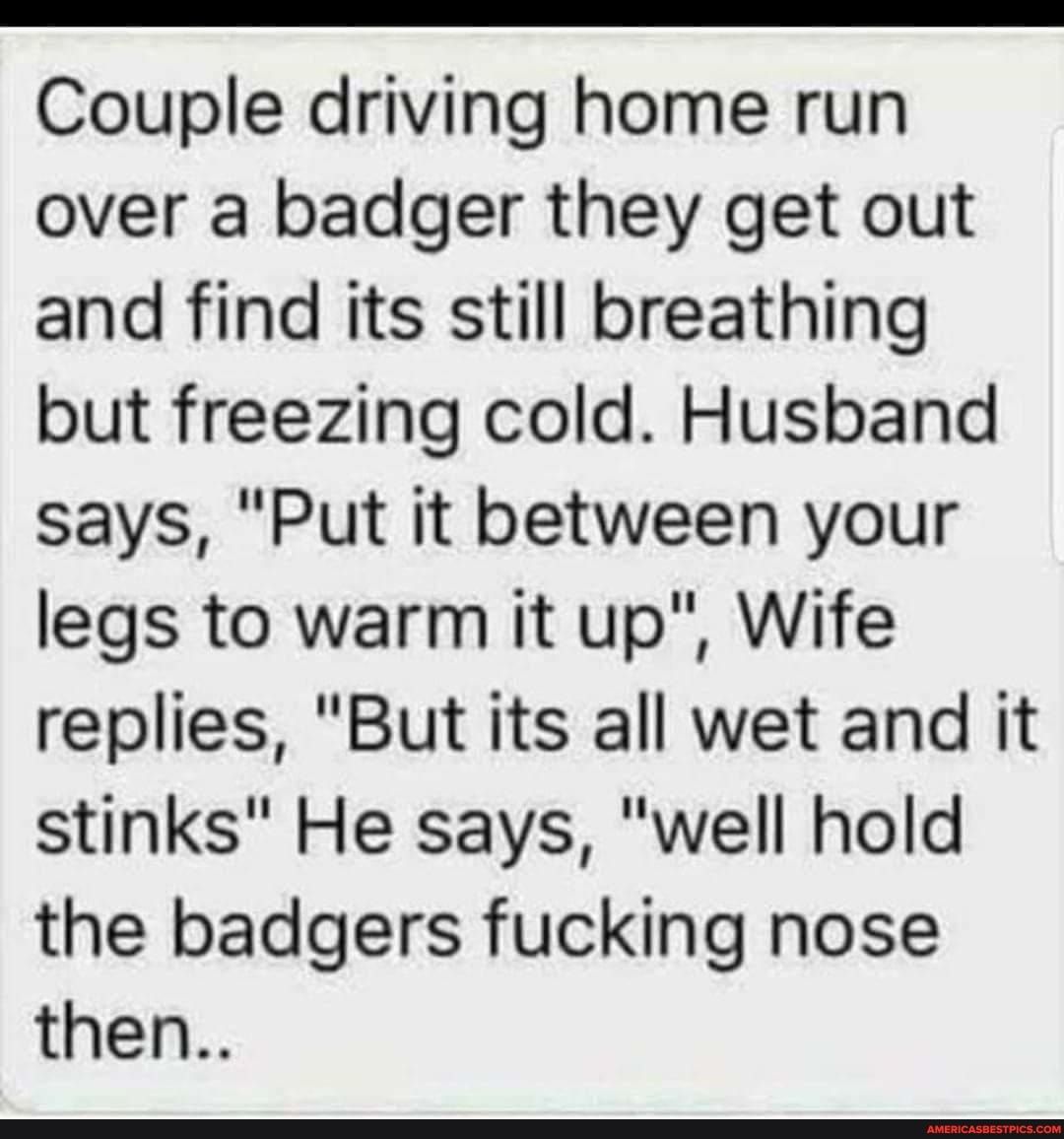 Couple driving home run over a badger they get out and find its still breathing but freezing cold Husband says Put it between your legs to warm it up Wife replies But its all wet and it stinks He says well hold the badgers fucking nose then