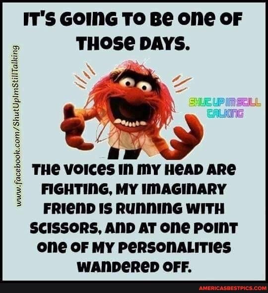 ITS GOING TO Be one oF THOSE DAYS THe voices In my HeAD ARe FIGHTING MY INAGINARY FRICND IS RUNNING WITH SCISSORS AND AT one PoINT one oF MY PERSONALITIES WANDEReD OFF 3 2 3 E H H