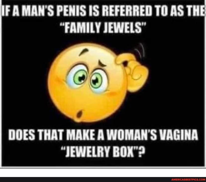 FAMANS PENIS IS REFERRED TO AS THE FAMILY JEWELS DOES THAT MAKE A WOMANS VAGINA JEWELRY BOX