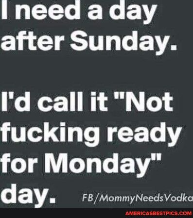 I need a aay 1 CURSTT e T Id call it Not fucking ready for Monday day FBMommyNeedsVodka AMERICASBESTPICSCOM