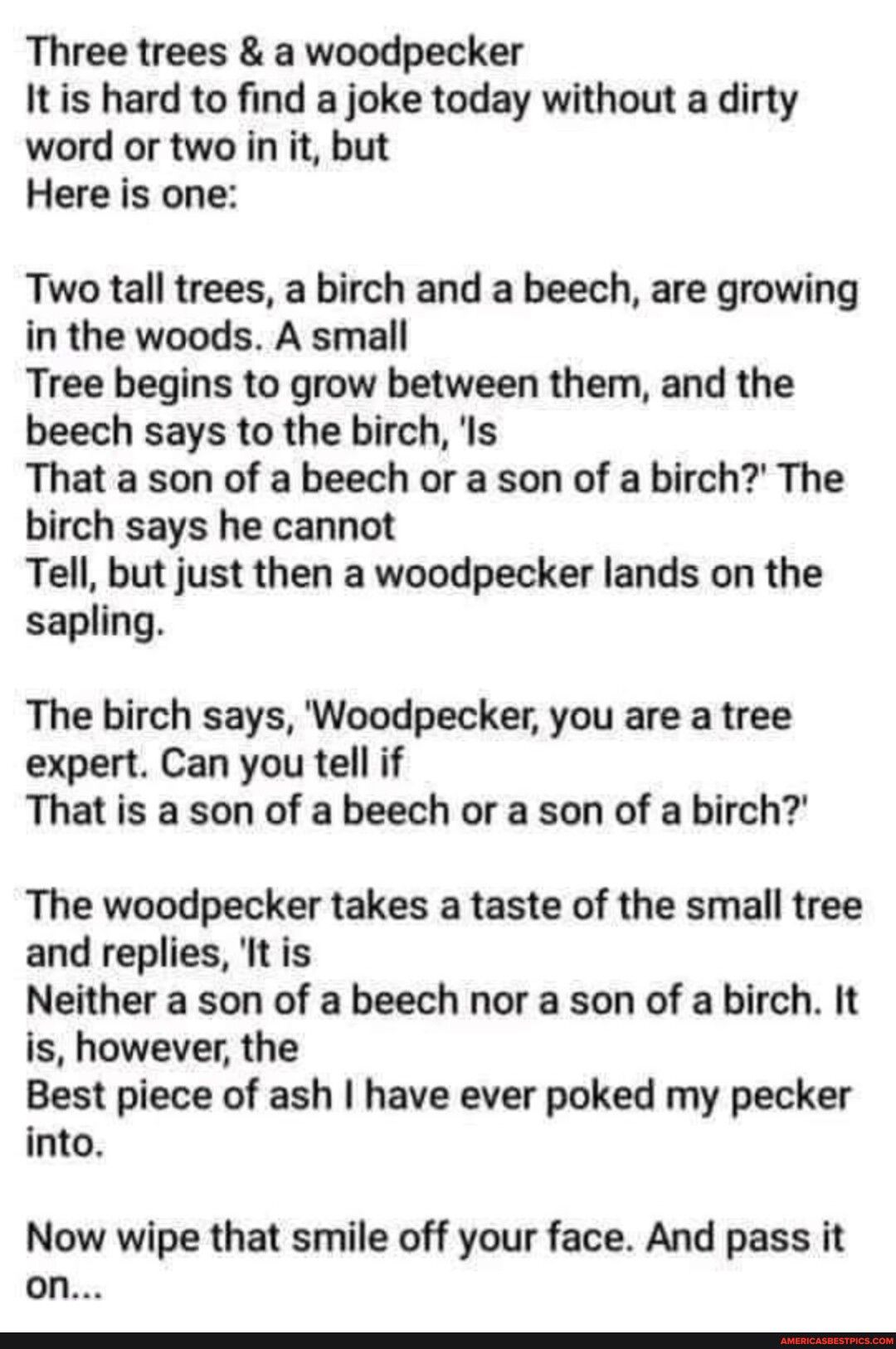 Three trees a woodpecker Itis hard to find a joke today without a dirty word or two in it but Here is one Two tall trees a birch and a beech are growing in the woods A small Tree begins to grow between them and the beech says to the birch Is That a son of a beech or a son of a birch The birch says he cannot Tell but just then a woodpecker lands on the sapling The birch says Woodpecker you are a tr