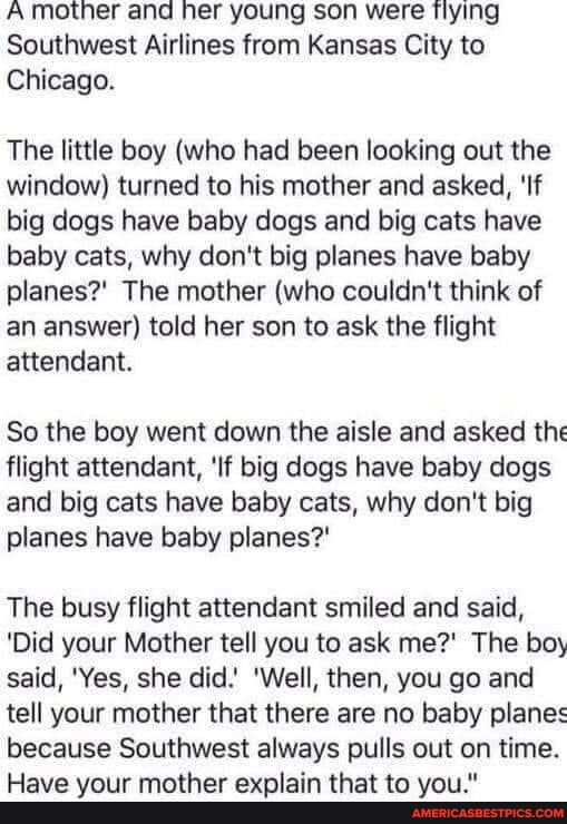 A mother and her young son were Tlying Southwest Airlines from Kansas City to Chicago The little boy who had been looking out the window turned to his mother and asked If big dogs have baby dogs and big cats have baby cats why dont big planes have baby planes The mother who couldnt think of an answer told her son to ask the flight attendant So the boy went down the aisle and asked the flight atten