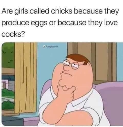 Are girls called chicks because they produce eggs or because they love cocks