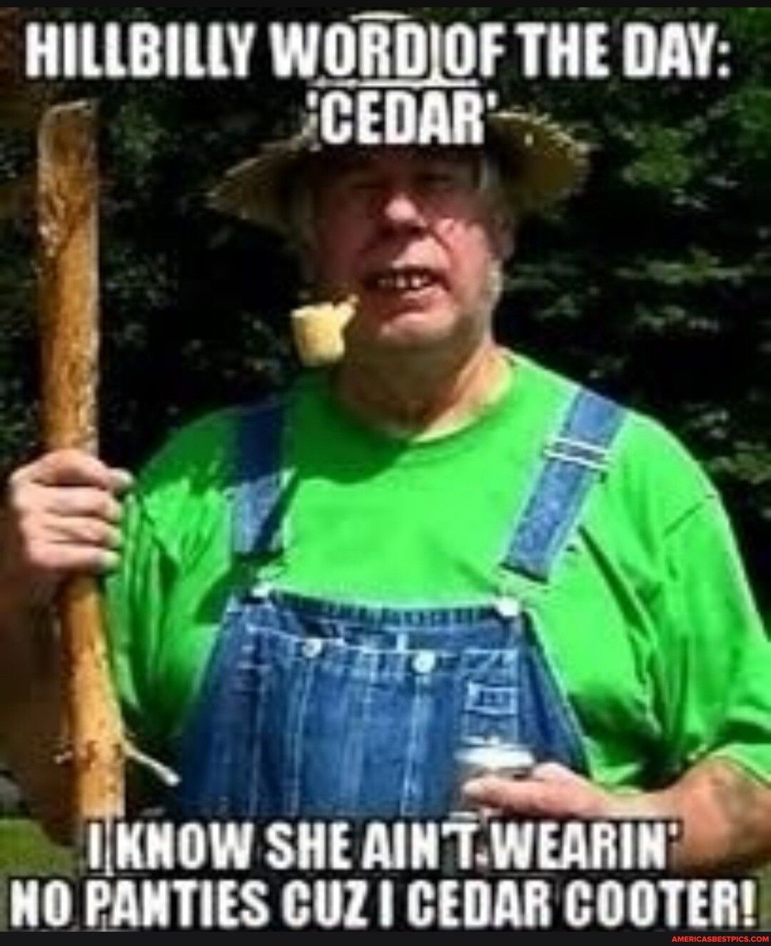 HILLBILLY WORDOF TII DAY CEDAR e Y LR Nlm NO PANTIES CUZ CEDAR COOTER