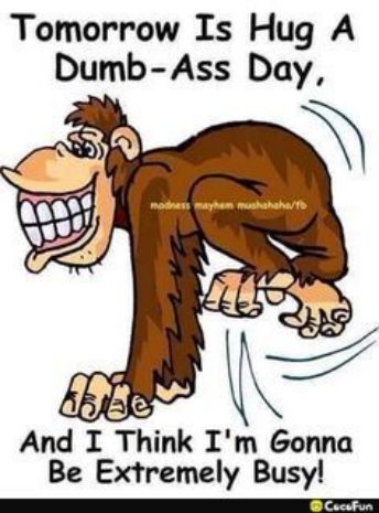 Tomorrow Is Hug A Dumb Ass Day And I Think Im Gonna Be Extremely Busy T