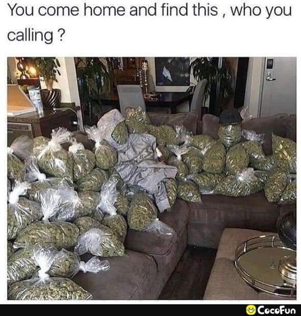 You come home and find this calling