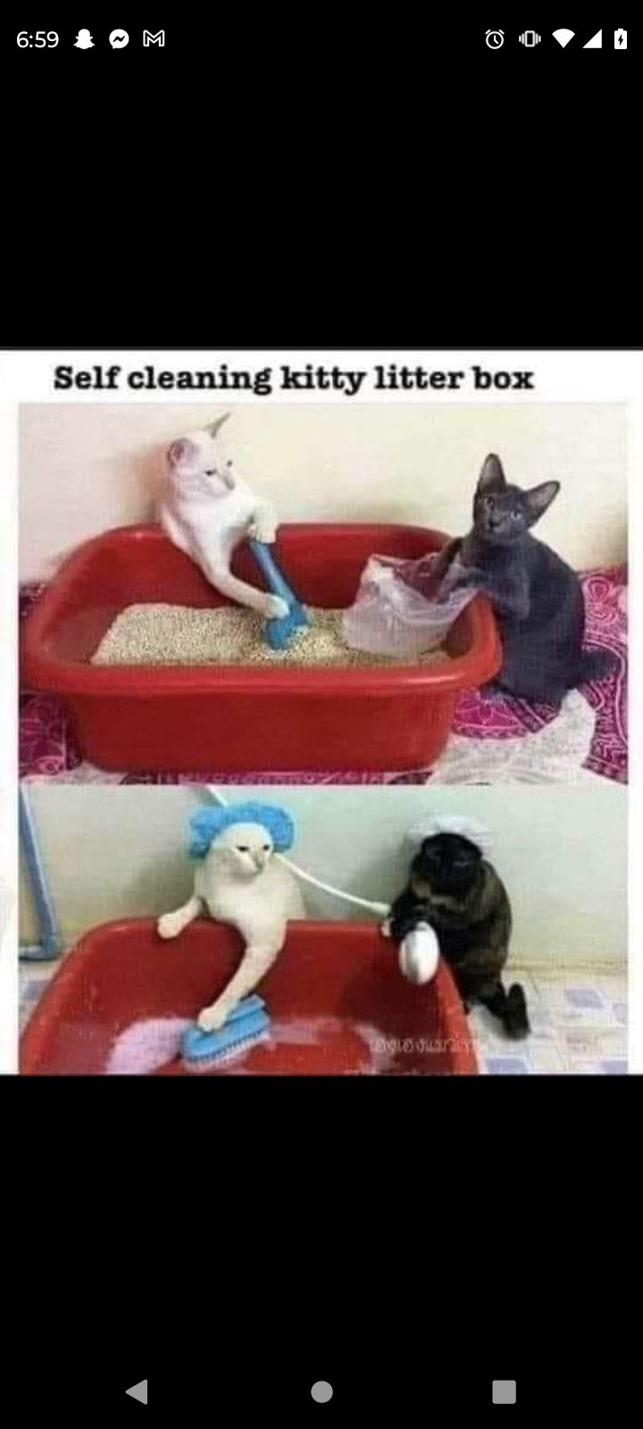 659 O M c R 1 Self cleaning kitty litter box