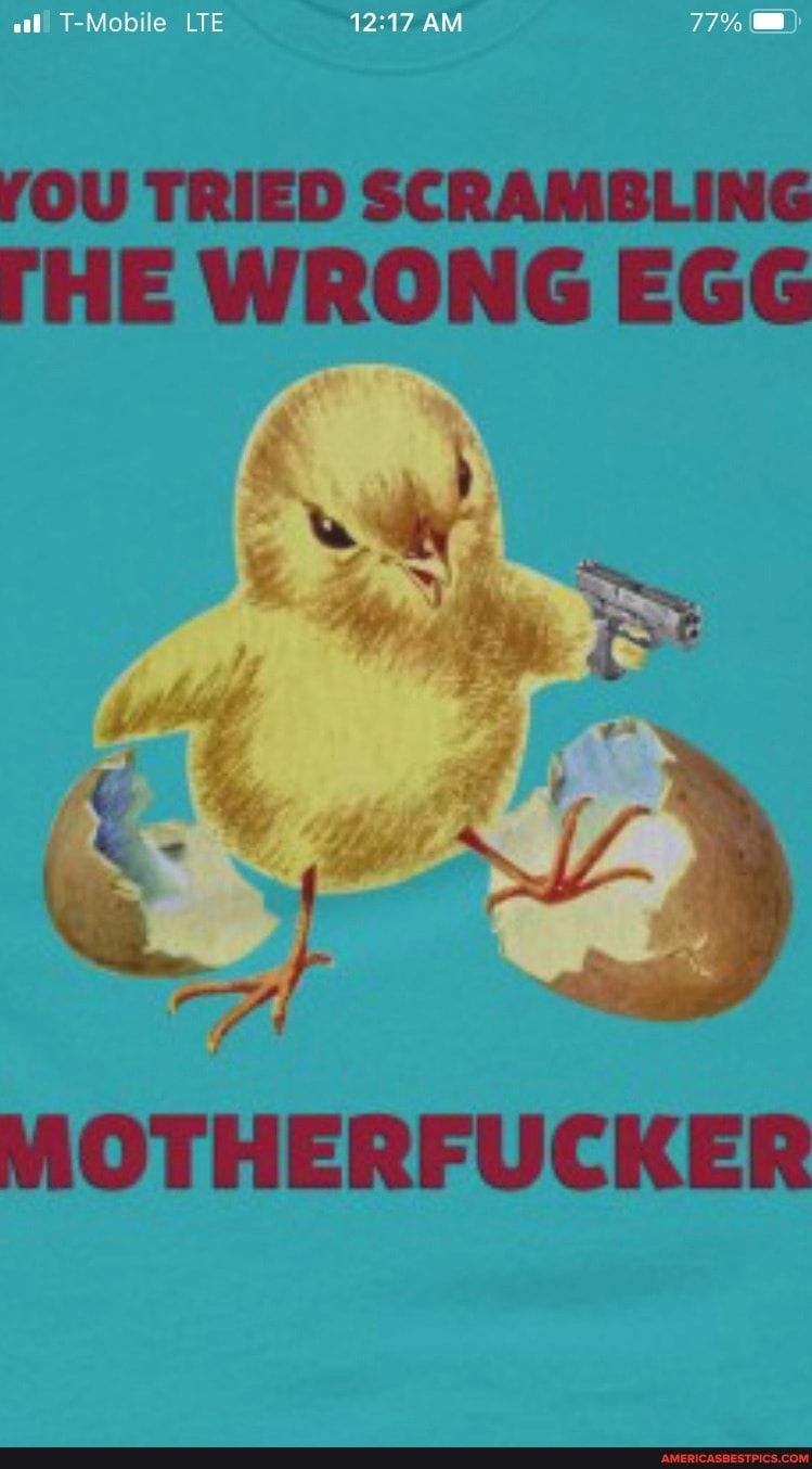 YOU TRIED SCRAMBLING FTHE WRONG EGG MOTHERFUCKER