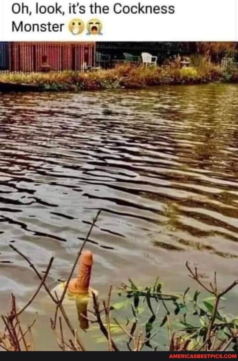 Oh look its the Cockness Monster