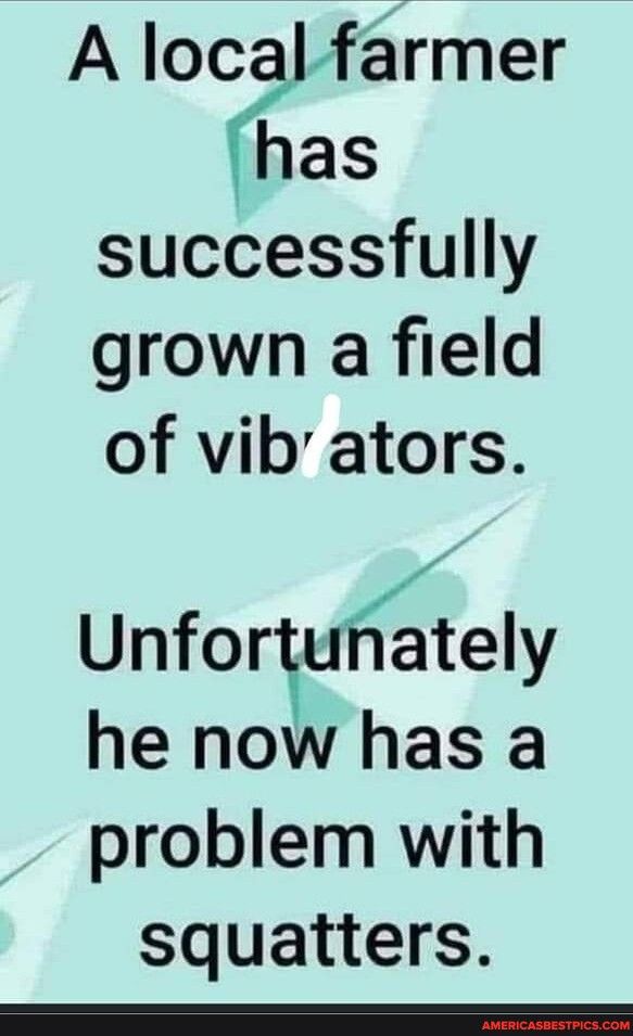A local farmer has successfully grown a field of vib ators Unforsutely he now has a problem with squatters