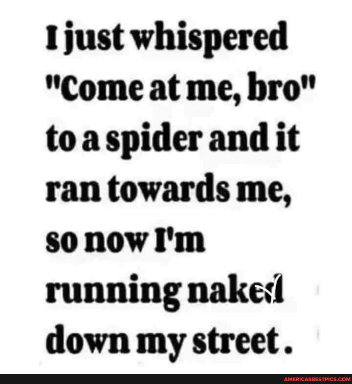 Ijust whispered Come at me bro to aspider and it ran towards me sonow Im running nakel down my street