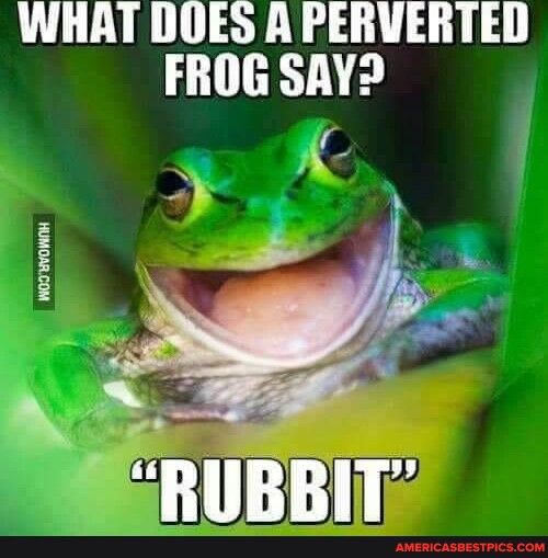 WHAT DOES A PERVERTED FROG SAY WOTHVONTH BBB