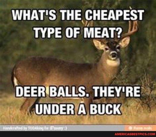 WHATS THE CHEAPEST L 303 MEAT B G DEERIBALLS THEYRE UNDERA BUCK