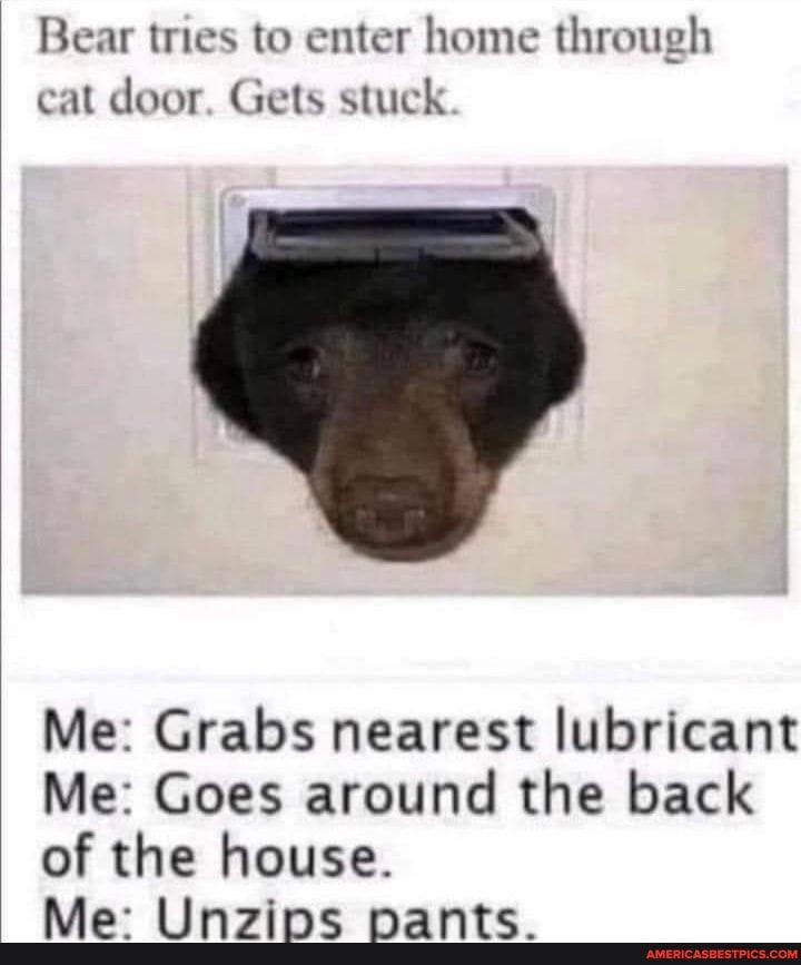 Bear tries to enter home through cat door Gets stuck Me Grabs nearest lubricant Me Goes around the back of the house Me Unzigs pants