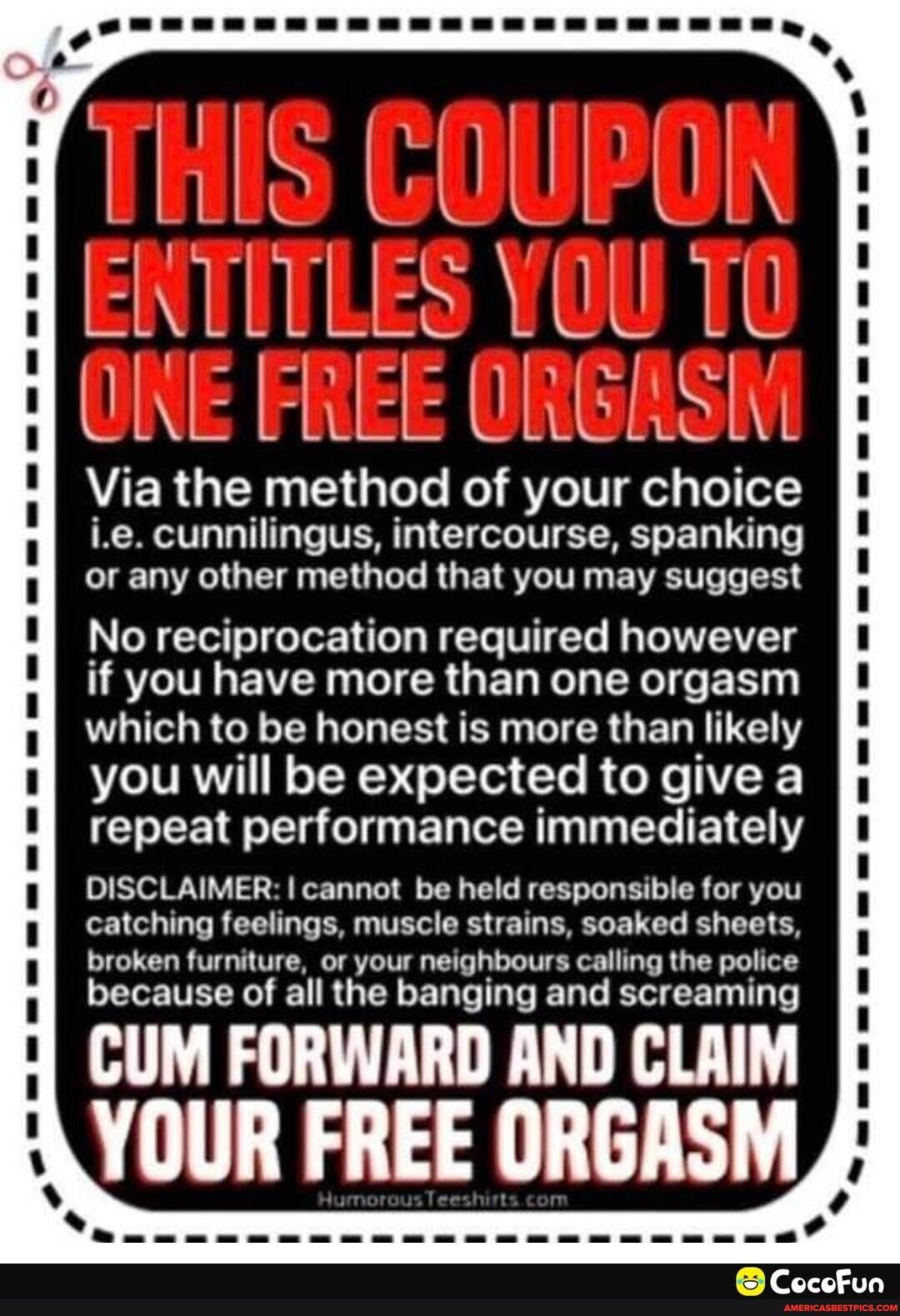 1S COUPOH ENTITLES YOU T N LLLLLHLUL Via the method of your choice ie cunnilingus intercourse spanking or any other method that you may suggest No reciprocation required however if you have more than one orgasm which to be honest is more than likely you will be expected to give a LRl T E TR I ETEL Y DISCLAIMER cannot be held responsible for you catching feelings muscle strains soaked sheets broken