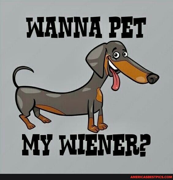 WANNA PET ENER A MY Wl