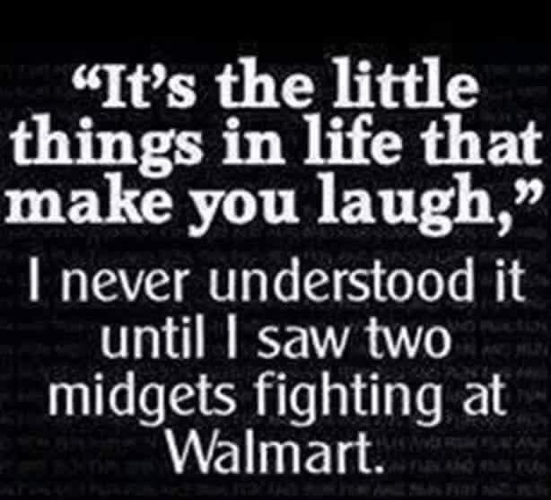 Its the little things in life that e L CRGL B BT R never understood it until saw two midgets fighting at Walmart