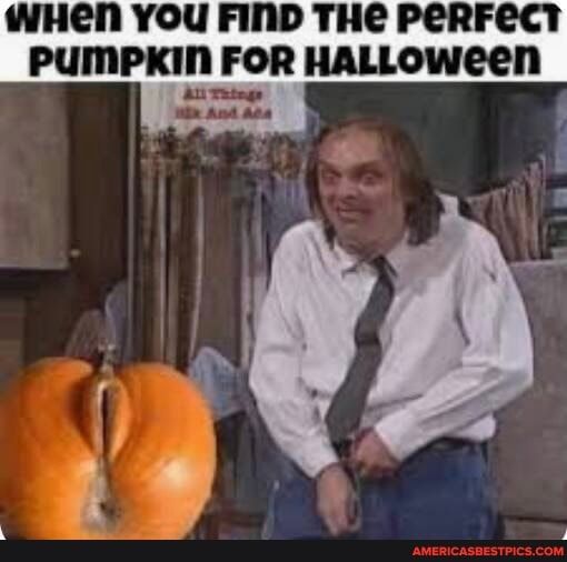 WHeEN YOU FIND THE PERFECT PUMPKIN FOR HALLOWeEEN AL Trtege a And Ats Ry ke