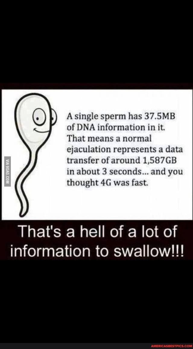 A single sperm has 375MB of DNA information in it That means a normal ejaculation represents a data transfer of around 1587GB in about 3 seconds nd you thought 4G was fast Thats a hell of a lot of information to swallow