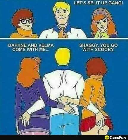 DAPHNE AND VELMA SHAGGY YOU GO COME WITH ME WITH SCOOBY