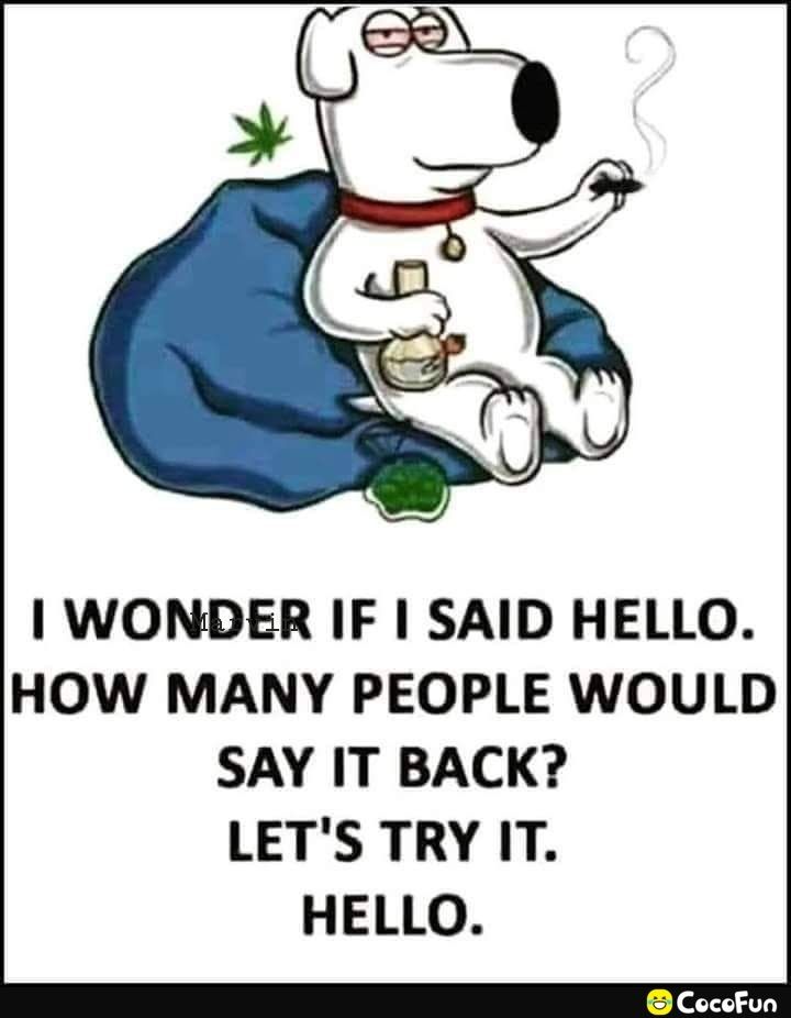 WONDER IF SAID HELLO HOW MANY PEOPLE WOULD SAY IT BACK LETS TRY IT HELLO