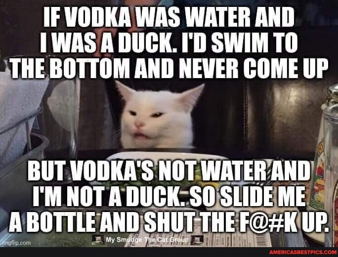 IF VODKAWAS WATER AND 1WASA DUCK ID SWIM TO lll AND NEVER COME UP T BUT Ulllln S Illll WAIEIIAIII IMNOTA IllllSIlgSllllEME MIIIITE llHIlSIIIITIIIE FI III f
