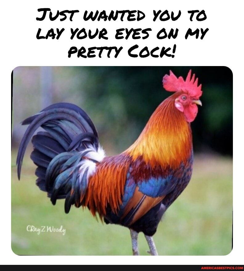 JTVST WANTED YoV TO LAY YOUR EYES ON MY PRETTY Cock