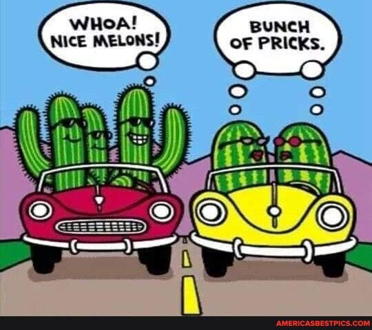 BUN OF PRI O O o CH ICKS o o ARER