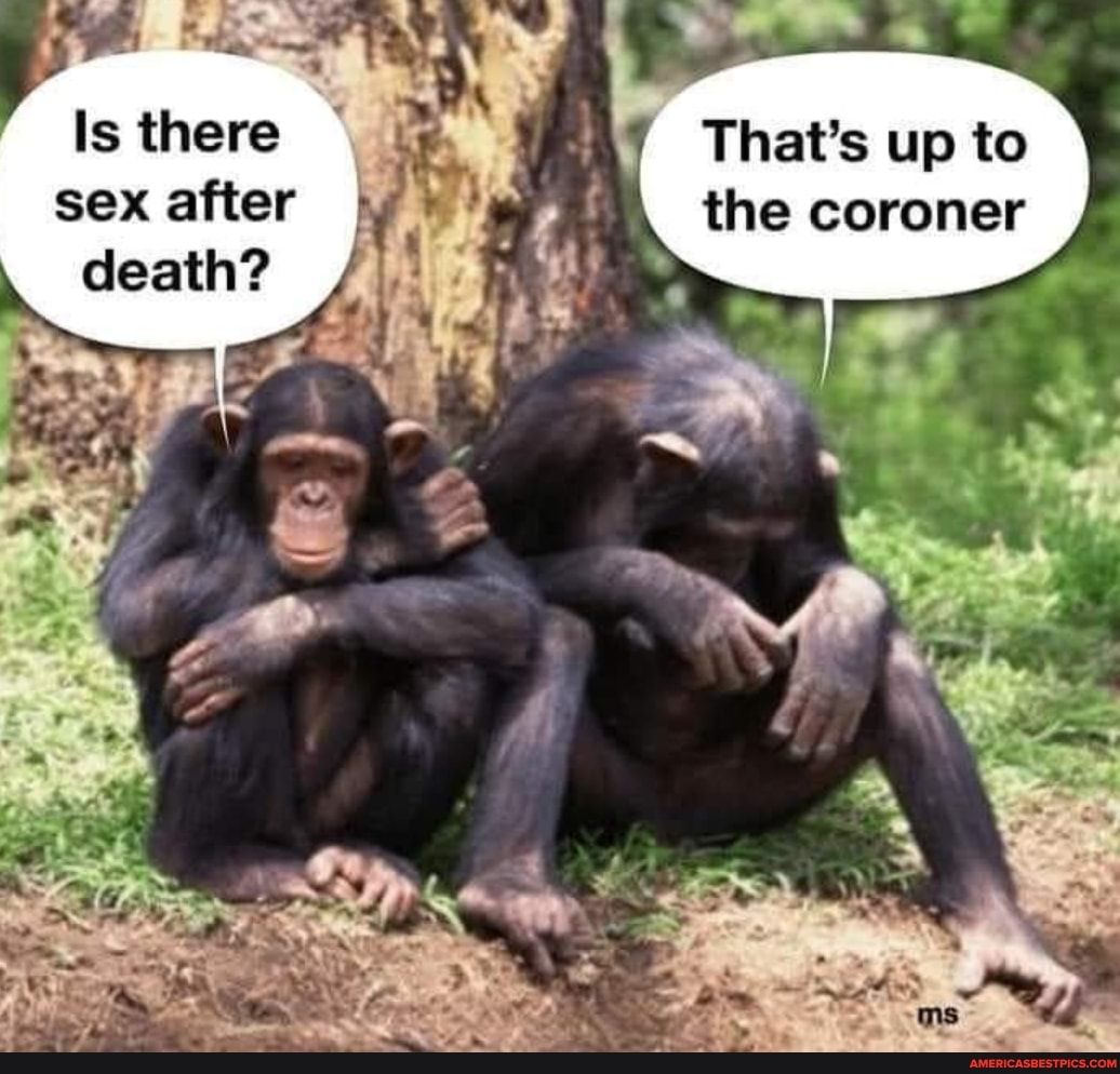 Is there Y Thats up to sex after W 2 the coroner