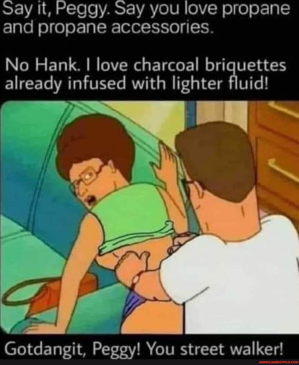 ST V1 o Te o VRRST YA TGIVR R ol fo o a and propane accessories No Hank love charcoal briquettes already infused with lighter fluid Gotdangit Peggy You street walker