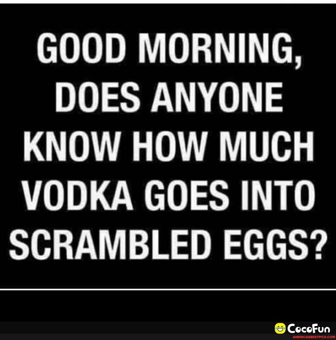 GOOD MORNING D10 9D 0 3 KNOW HOW MUCH VODKA GOES INTO SCRAMBLED EGGS