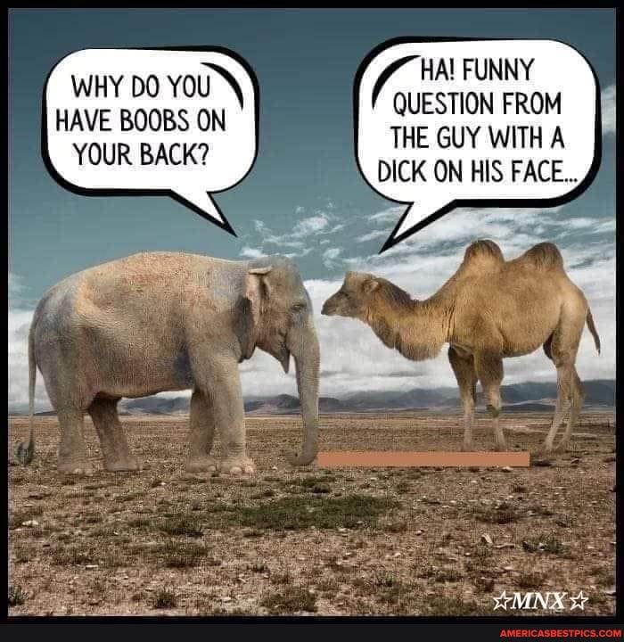 HA FUNNY QUESTION FROM i THE GUY WITH A DICK ON HIS FACE WHY DO YOU HAVE BOOBS ON YOUR BACK
