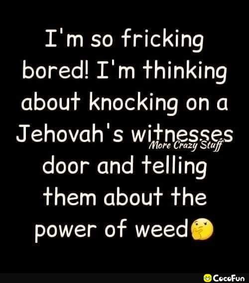 Im so fricking bored Im thinking about knocking on a Jehovahs witnesses More Crazy Stuff door and telling them about the power of weed CocoFun
