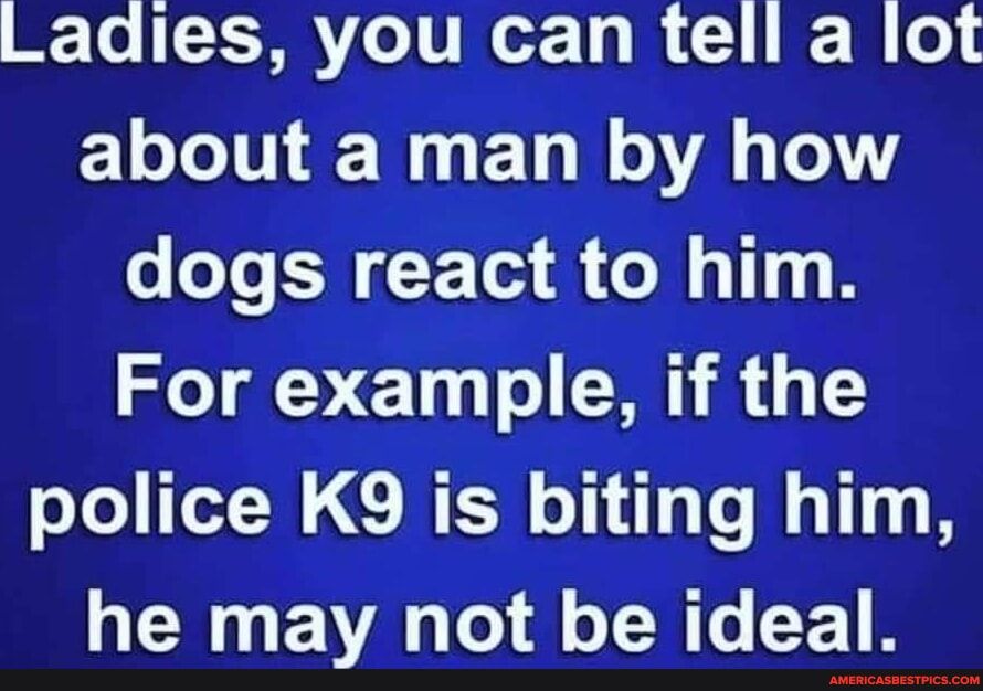 To XA VLo 1V Ro g I 1 o about a man by how o LT ENCE A N T For example if the police K9 is biting him R EVA o 8 TN e E1