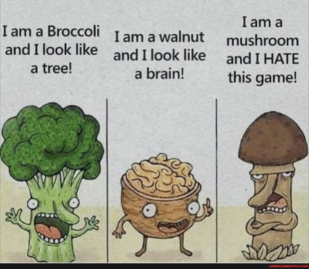 Iama Tam a Broccoli am 3 walnut iehiasmm andIlook like 5141100k like and I HATE a brain this game atree