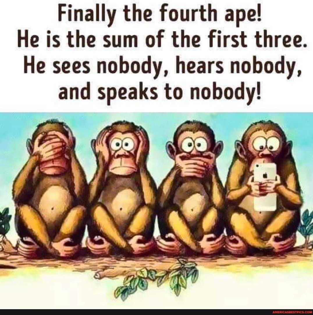 Finally the fourth ape He is the sum of the first three He sees nobody hears nobody and speaks to nobody