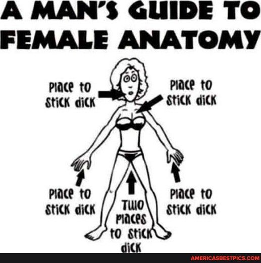 A MANS GUIDE TO FEMALE ANATOMY