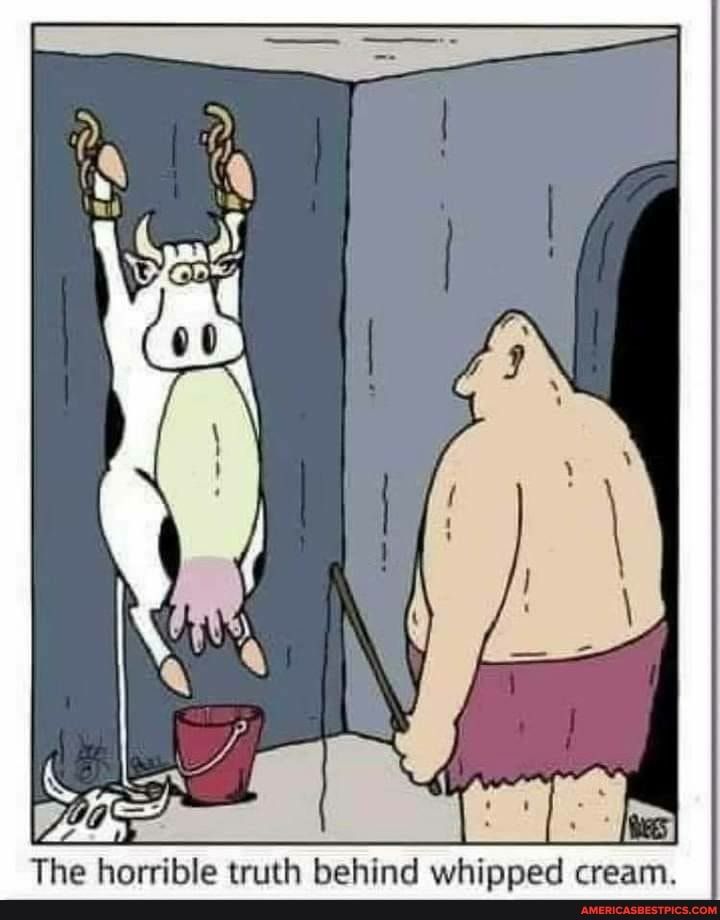 The horrible truth behind whipped cream