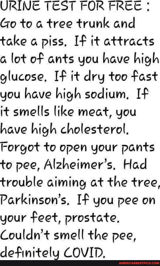 URIVE TEST FOR FREE Go to a tree trunk and take a piss I it attracts 6 lot of ants you have high glucose I it dry too fast you have high sodium I it smells like meat you have high cholesterol Forgot to open your pants to pee Alzheimers Had trouble aiming at the tree Parkinsons I you pee on your feet prostate Couldnt smell the pee cle Ftnifelg COVID