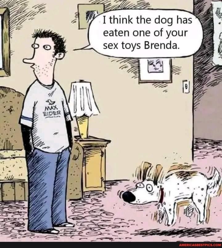 5 54 1 think the dog has eaten one of your sex toys Brenda