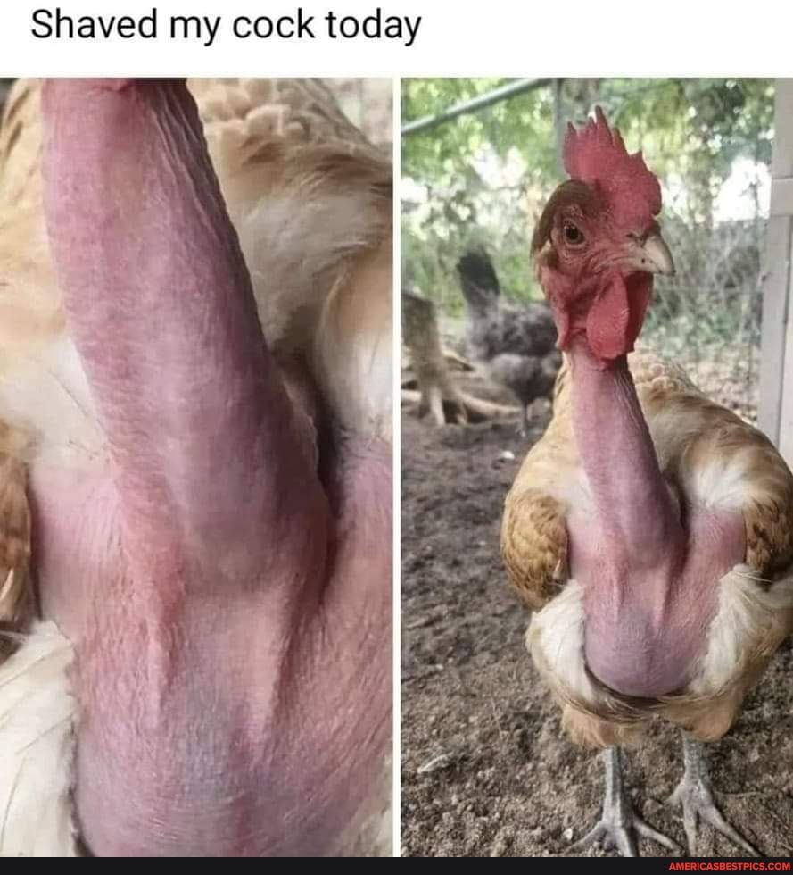 Shaved my cock today