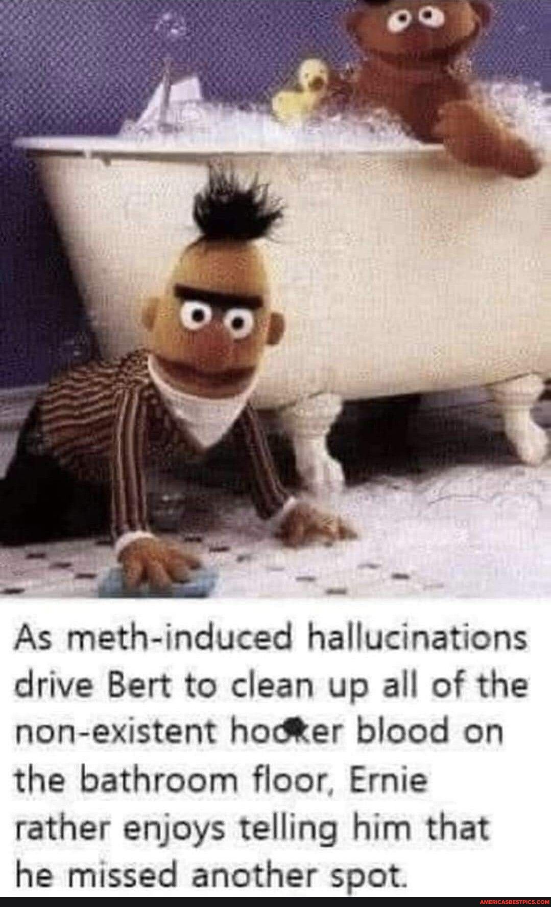 As meth induced hallucinations drive Bert to clean up all of the non existent hodker blood on the bathroom floor Ernie rather enjoys telling him that he missed another spot