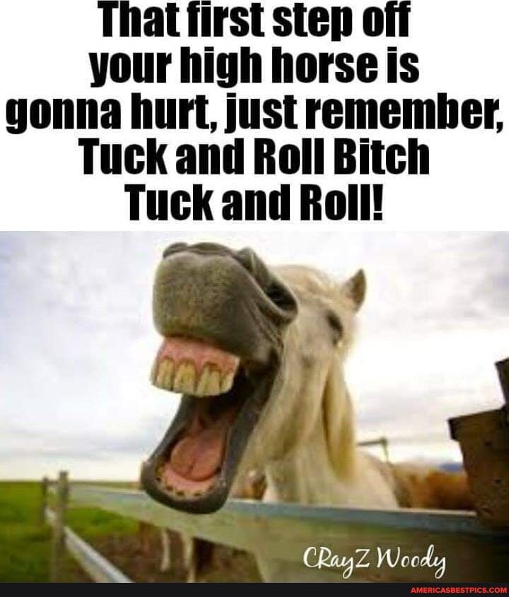 Thatfirst step ot your high horse is gonna hurt just remember Tuck and Roll Bitch Tuck and Roll