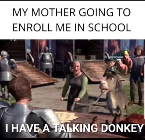 MY MOTHER GOING TO ENROLL ME IN SCHOOL N i o S e 3N o 7 s HIEAKING DONKEY 2iv