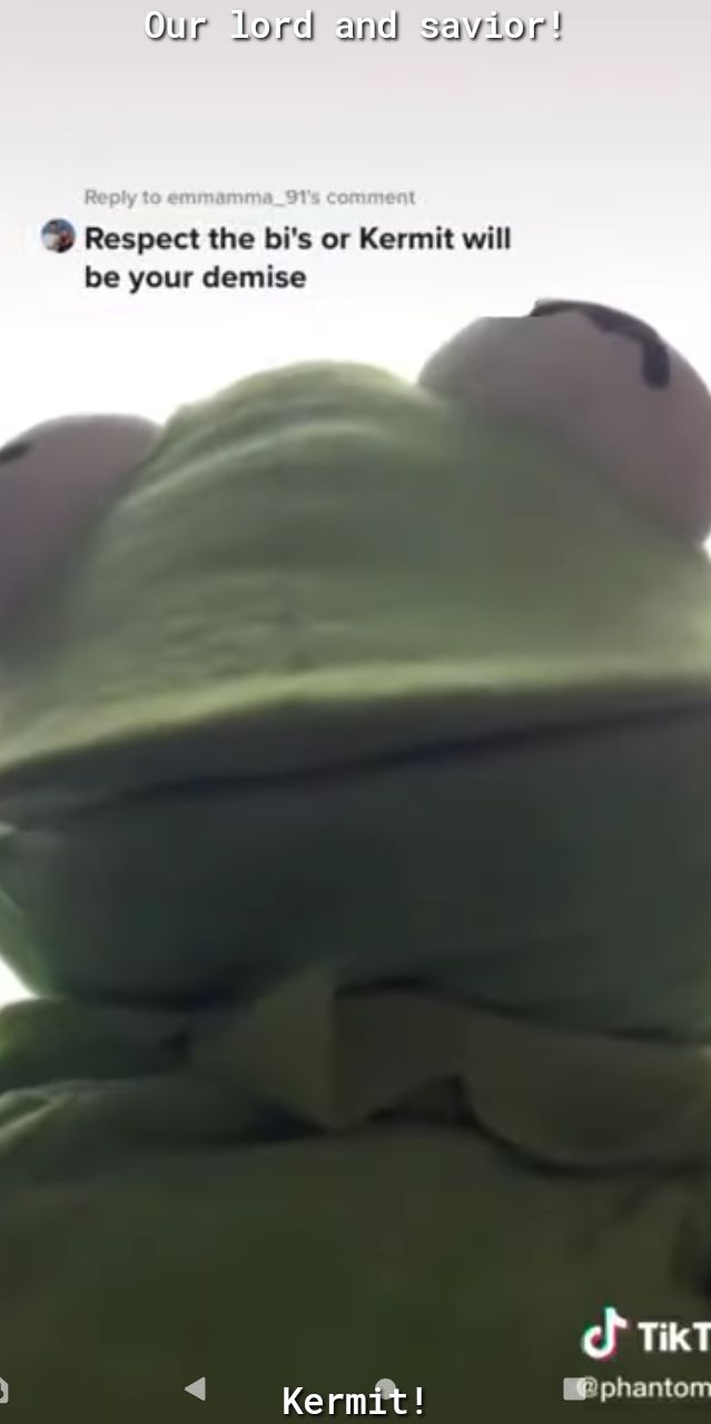 Our lord and s D Respect the bis or Kermit will be your demise o TikT Kermft Mphantom