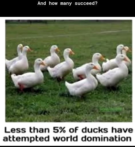And how many succeed Less than 5 of ducks have attempted world domination