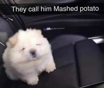 They call him Mashed potato